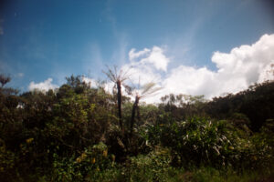 Belouve-2022-04-11-03-instagram